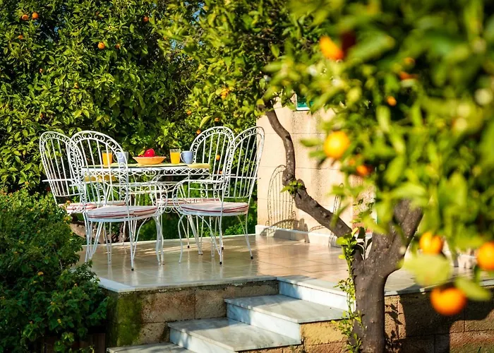 The Tower With The Orange Tree Garden